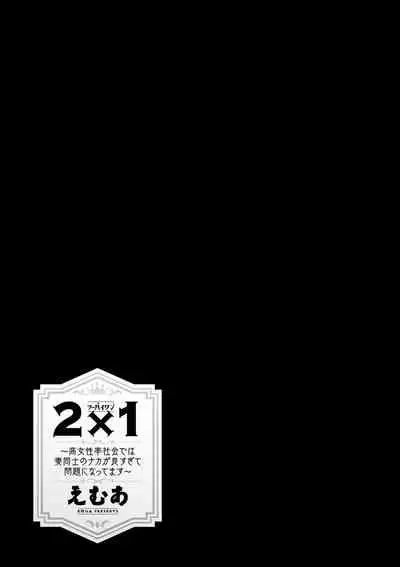 2 x 1