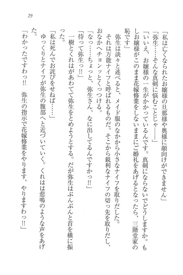 お嬢様はメイド様!？