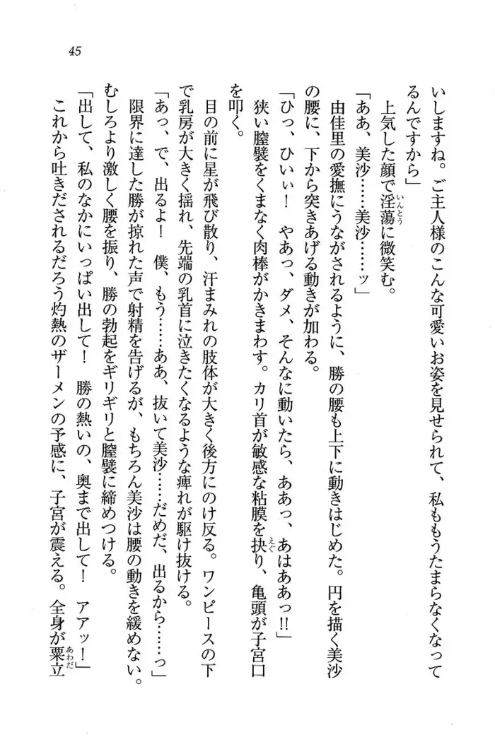 メイドなります ! ～おしおき