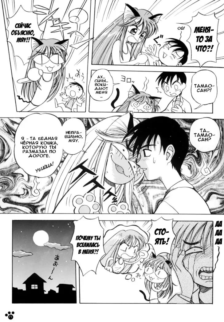 PRETTY CAT'S SHOW TIME