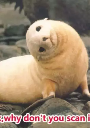 にのこやCOMIC1☆16おまけ本