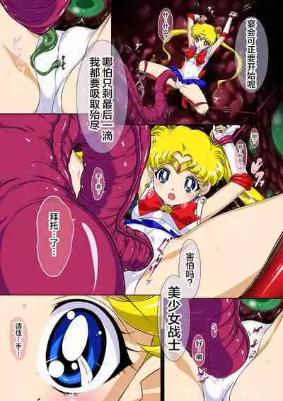 Sailor Moon Chu!
