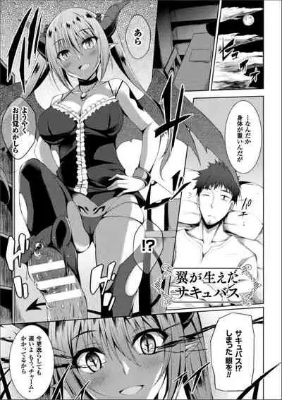 [Suteri] Shinshoku Mystery Circle (Digital)