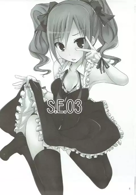 S.E.03