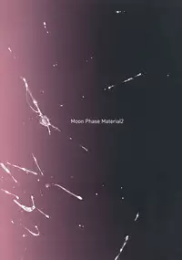 (C92) [MoonPhase (Yuran)] Moon Phase Material 2 (Fate/Grand Order) [Chinese] [無邪気漢化組]