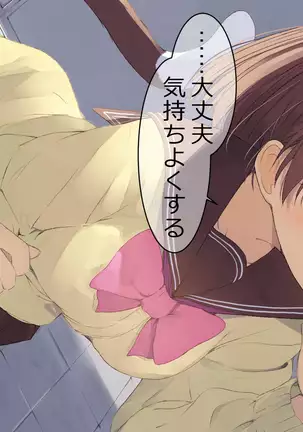 Ore no Kanojo ni wa Nekomimi ga Haeteiru