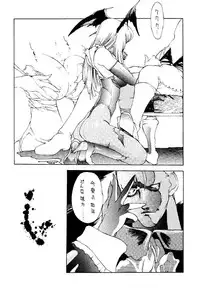 (C48) [METAL BOX (Various)] METAL BOX No.3 Vampire Only (Darkstalkers)