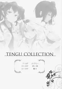 (Reitaisai 12) [Eclipse, Mochi-ya, Hannama (Rougetu, Karochii, Soine)] TENGU COLLECTION (Touhou Project)