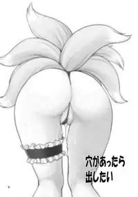 (C84) [Hinemosuan (Hinemosu Notari)] Ana ga Attara Dashitai | If There's a Hole, I Want to Use It! (Touhou Project) [English] {Sharpie Translations}