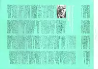 [Nishieda] Dendrobium