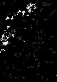 (C95) [Sasa Chaya (Sasa Sakuno)] HAPPY END (Satsuriku no Tenshi) [Chinese] [脸肿汉化组]