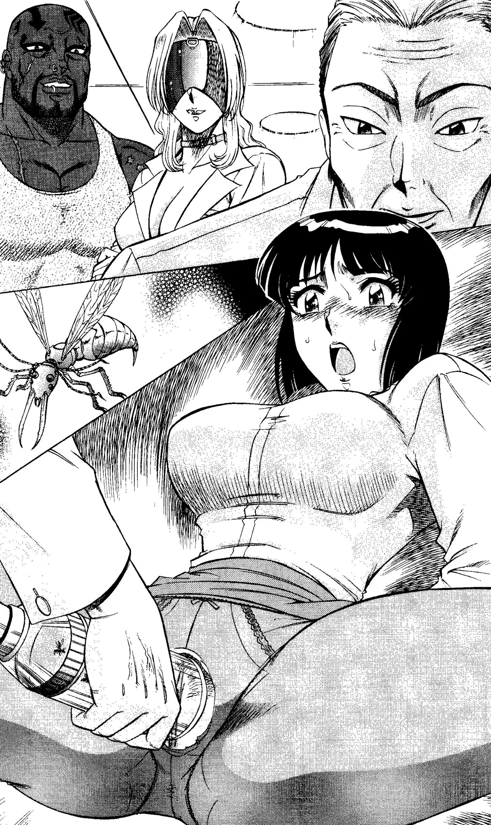 Captain Fusion Torawareta Bijin Shoukou