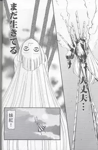 (C67) [Kurogane Dou (Narumi Yuki)] Tsuki to Hourai Ningyou (Touhou Project)