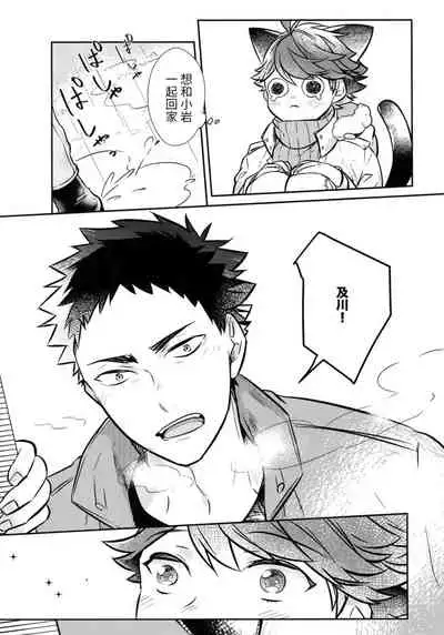 我想成为小岩的猫5I want to become Iwa-chan's Cat! 5