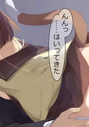 Ore no Kanojo ni wa Nekomimi ga Haeteiru