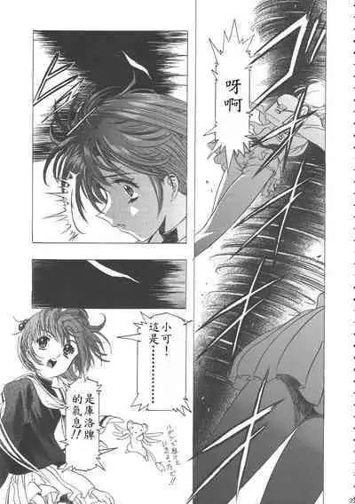 Sakura Ame Wide Ban