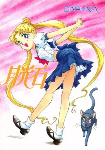 (C43) [Damage Honpo (DAPHNIA)] Gekkou Ishi (Bishoujo Senshi Sailor Moon)