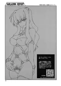 (C73) [WARP LOOP (45ACP)] HARLAOWN REPORT (Mahou Shoujo Lyrical Nanoha)