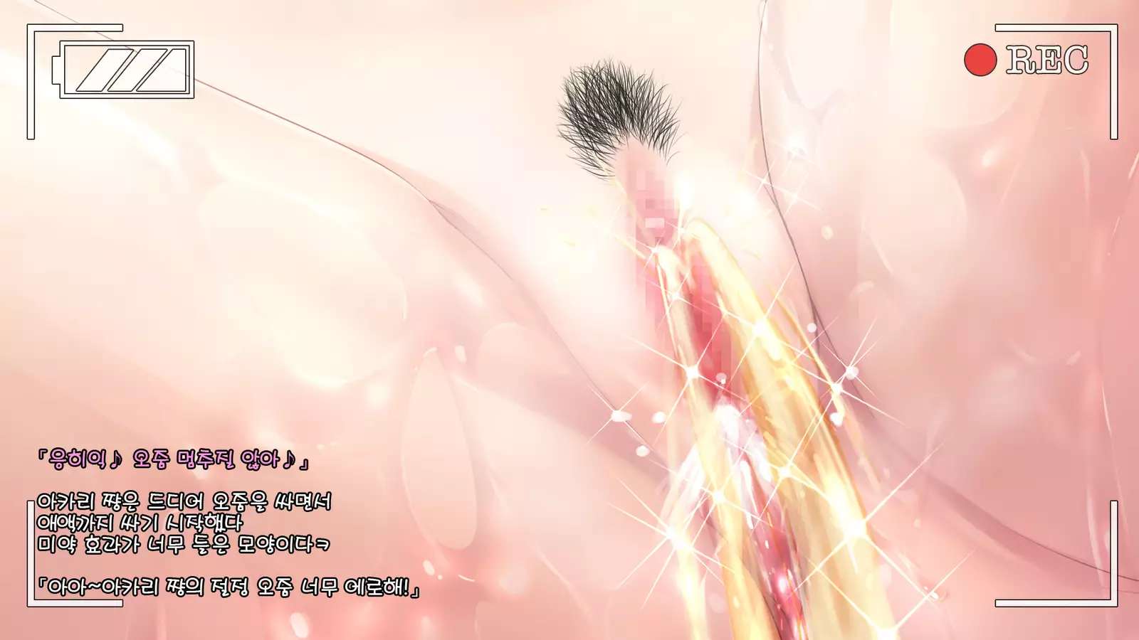 Gravure Idol Akari Himitsu no Image Video -IV hen-