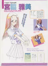 Virtuacall Series - Illustration & Datafile