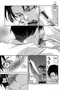 (FALL OF WALL2) [Pink Power (Mikuni Saho)] Tsubekobe Iwazuni Damatte Ore ni Shitagai Yagare. (Shingeki no Kyojin) [English] [Something-or-other Scanlations]