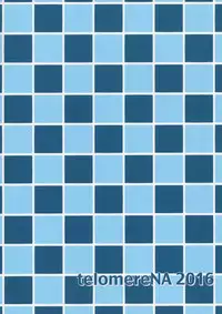 (C91) [telomereNA (Gustav)] Maid Minami no Gohoushi Full Course (THE IDOLM@STER CINDERELLA GIRLS) [Chinese] [空気系☆漢化]