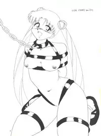 (C45) [Ariari no Nashinashi (Wave)] Side Story Ver. 3.01 (Bishoujo Senshi Sailor Moon)