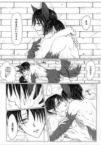 (Kyuushuu Hekigai Chousa Haku) [Oversight (Machiko)] CrazyMoon (Shingeki no Kyojin)