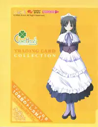 clover heart's visual fan book