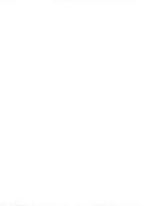 Full Metal Panic! 3 - Sasayaki no Ato | After the Whisper