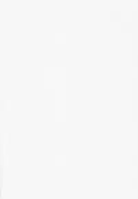 (C77) [CDPA (Various)] CROSS MAKE 2009 (Freezing, Onihime VS)