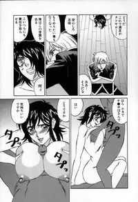 [Yamamoto Yoshifumi] Inzetsu no Bara - Desolute Rose