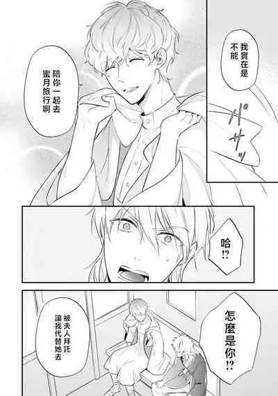 isekai de migawarihime ninari haou ni ubawaremashita | 在异世界成为了替身公主被霸王掳走了 1-12 end