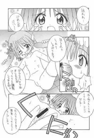 Soko da! Ninpou Youji Taikei no Jutsu 2nd