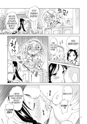 Hime-sama to Dorei-chan | 공주님과 노예쨩