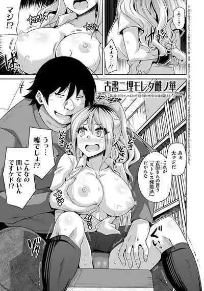 Kosho ni Umamoreta Mesu no Hana