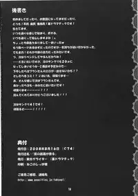 (C74) [Tokyo Glider (Ura Dramatic)] Murasaki no Bara ga Kaoru (Touhou Project)