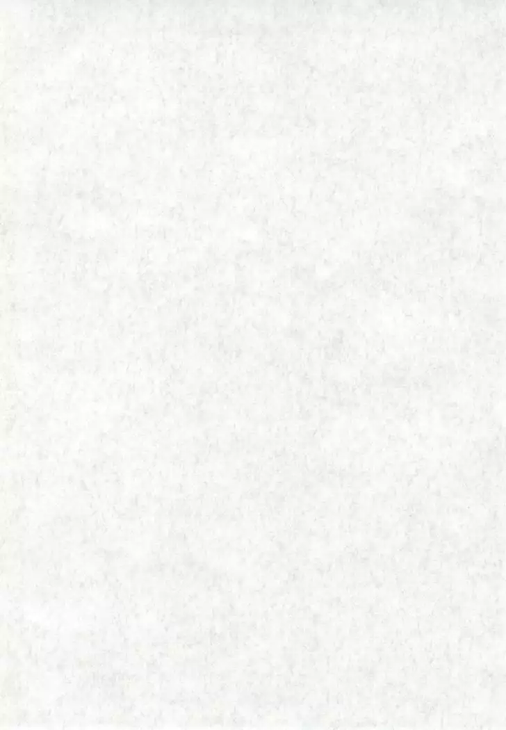 Fiance Tsuushin 2006 - Fuyu no Gou