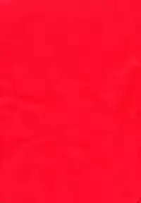 (SC65) [Suzune Rai Chikashitsu (Suzune Rai)] Loli ga Kuma no Youna Oji-san to Mainichisumou (Ingo) [English] [BSN]