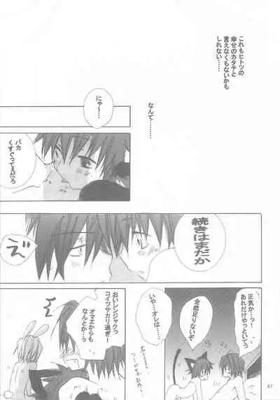 kannagi no tori doujinshi soushuuhen