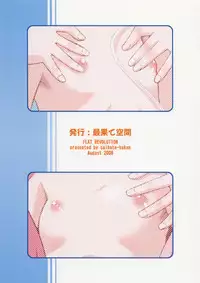 (C74) [Saihate-Kukan (Hino Hino)] FLAT REVOLUTION (Zero no Tsukaima)