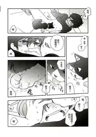 Tokubetsu Kyuukou Mementos