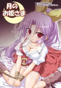[Schwester (Shirau Inasaki)] Tsuki no Ohime-sama (Touhou Project)