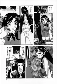 [Yamamoto Yoshifumi] Inzetsu no Bara - Desolute Rose