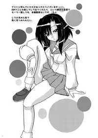 (C75) [C.R's NEST (C.R)] DOM TOYBOX (Samurai Spirits)