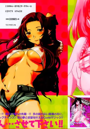 Ecchi na Koi no Aji
