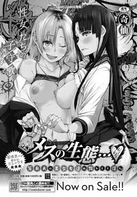 COMIC BAVEL 2019-07