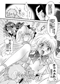 (C78) [Kotori Jimusho (Sakura Bunchou)] Sailor Senshi Kaibou Keikaku (Sailor Moon)