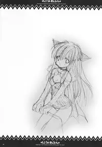 (C69) [Ashuraya / Surumeya (Kushida Ashura, Surumeko] Eco x Rag Online (Ragnarok Online)