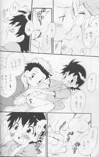 (C64) [Kuruguru DNA (Hoshiai Hilo)] JTH (Digimon Frontier)